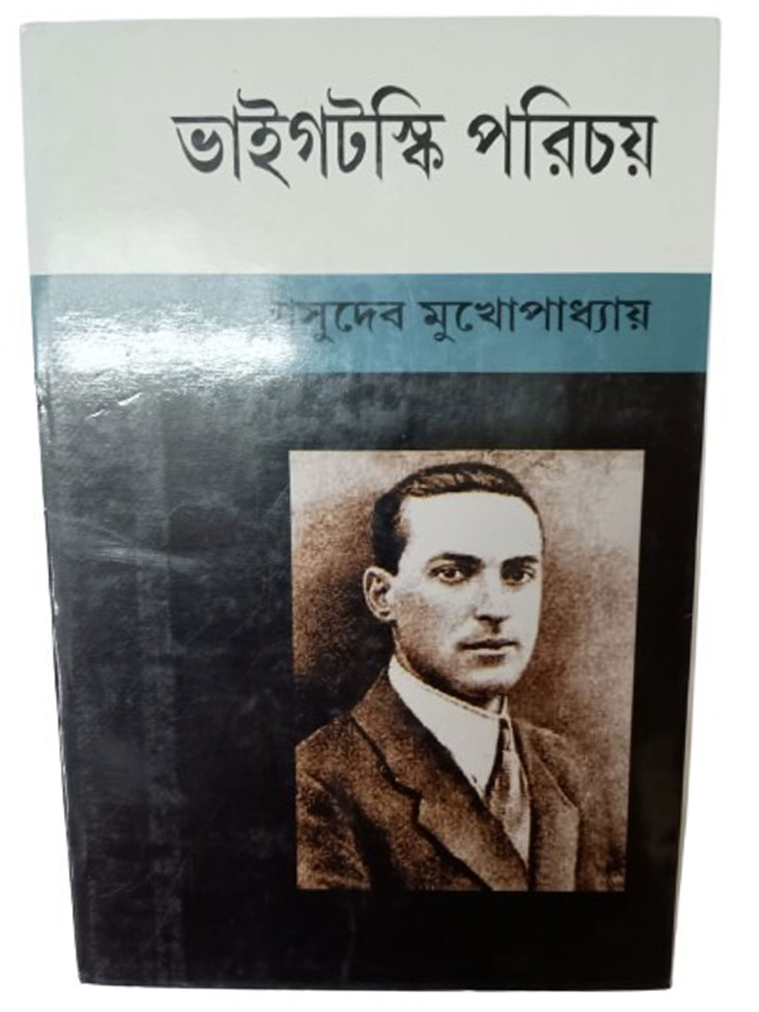 ভাইগটস্কি পরিচয়