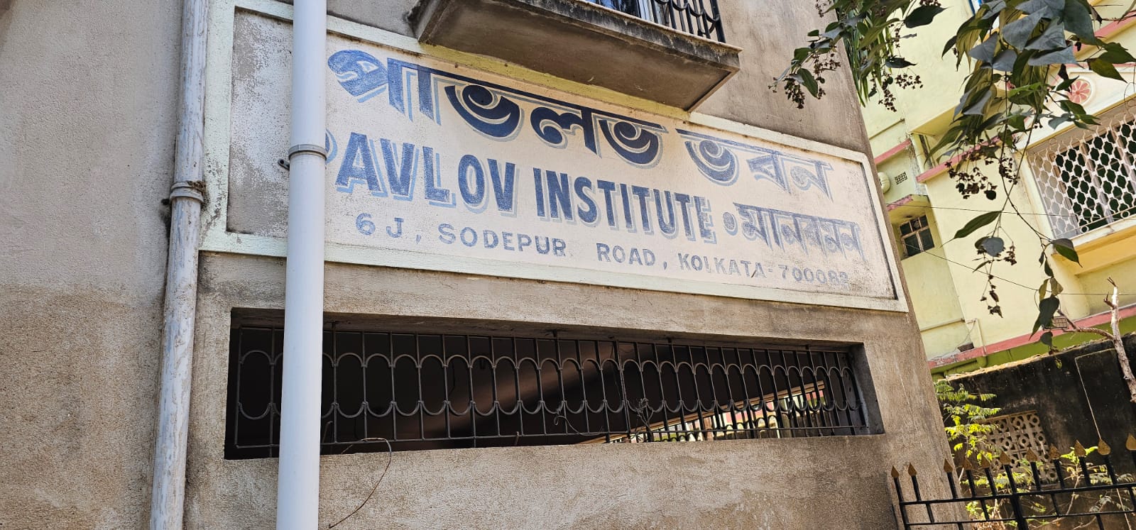 Advanced Internship Course